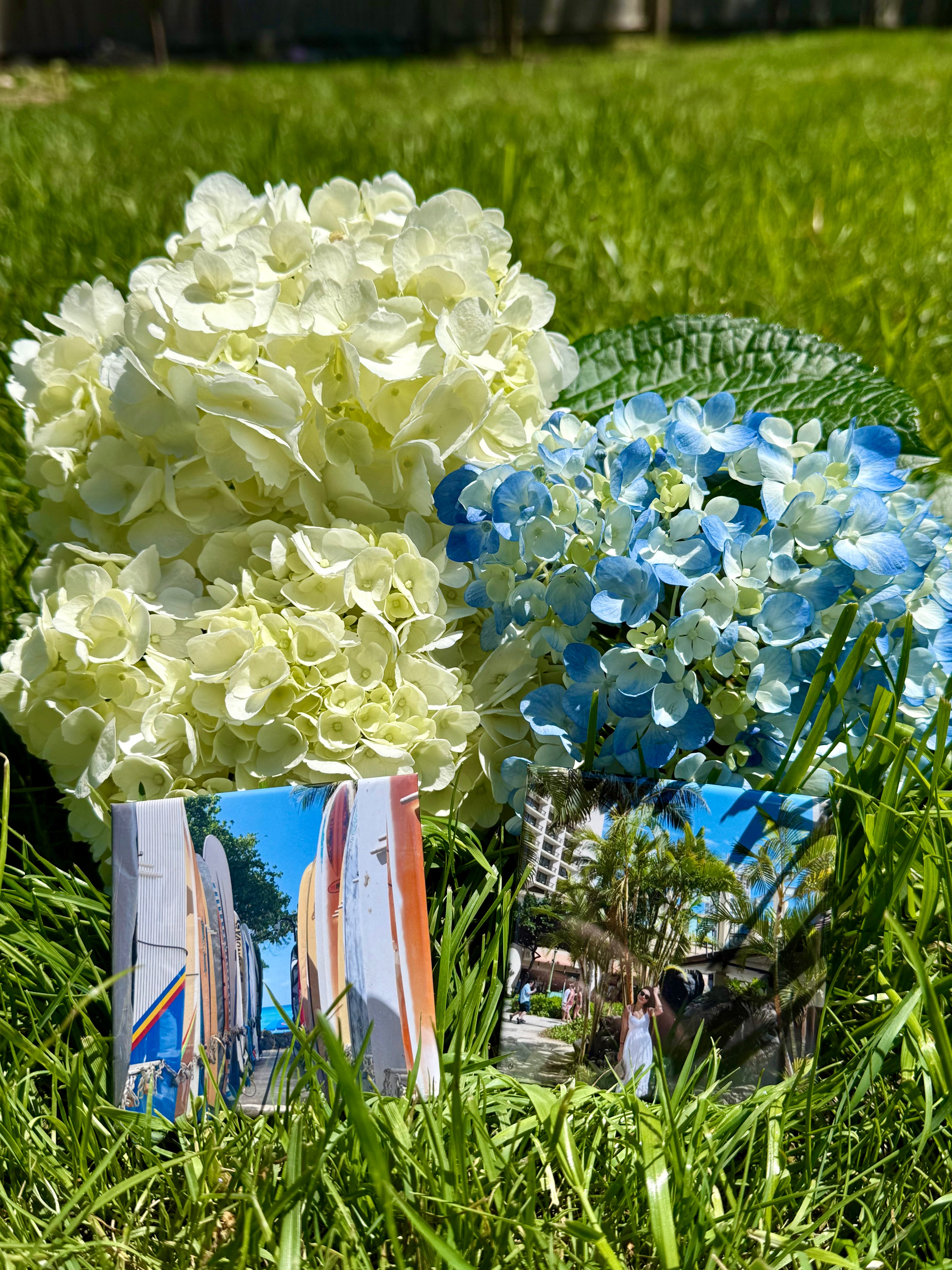 Custom Photo Magnets (3" x 3")